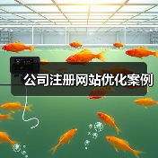 公司注册网站优化案例(图1) 公司注册网站优化案例(图1)