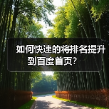 如何快速的将排名提升到百度首页?(图4) 如何快速的将排名提升到百度首页?(图4)