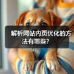 解析网站内页优化的方法有哪些?(图4) 解析网站内页优化的方法有哪些?(图4)