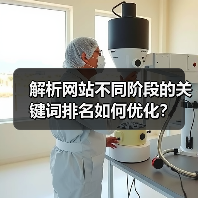 解析网站不同阶段的关键词排名如何优化?(图2) 解析网站不同阶段的关键词排名如何优化?(图2)