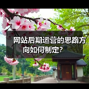 网站后期运营的思路方向如何制定?(图3) 网站后期运营的思路方向如何制定?(图3)