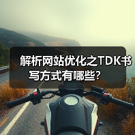 解析网站优化之TDK书写方式有哪些?(图4) 解析网站优化之TDK书写方式有哪些?(图4)