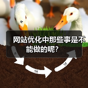网站优化中那些事是不能做的呢？（图1）