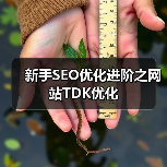 新手SEO优化进阶之网站TDK优化(图4) 新手SEO优化进阶之网站TDK优化(图4)