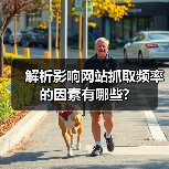 解析影响网站抓取频率的因素有哪些?（图2）