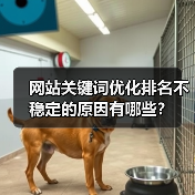 网站关键词优化排名不稳定的原因有哪些?(图3) 网站关键词优化排名不稳定的原因有哪些?(图3)