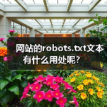 网站的robots.txt文本有什么用处呢?(图3) 网站的robots.txt文本有什么用处呢?(图3)