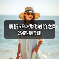 解析SEO优化进阶之网站链接检测（图1）