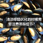 浅谈标题优化的时候需要注意哪些细节?(图2) 浅谈标题优化的时候需要注意哪些细节?(图2)