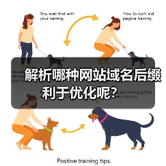 解析哪种网站域名后缀利于优化呢？（图2）