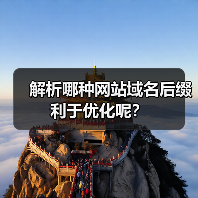解析哪种网站域名后缀利于优化呢？（图1）