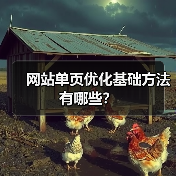 网站单页优化基础方法有哪些?(图4) 网站单页优化基础方法有哪些?(图4)