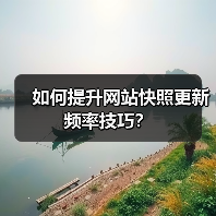 如何提升网站快照更新频率技巧?(图3) 如何提升网站快照更新频率技巧?(图3)
