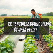 在书写网站标题的时候有哪些要点?(图1) 在书写网站标题的时候有哪些要点?(图1)