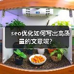 seo优化如何写出高质量的文章呢？（图3）
