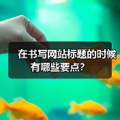 在书写网站标题的时候有哪些要点?(图3) 在书写网站标题的时候有哪些要点?(图3)