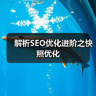 解析SEO优化进阶之快照优化(图2) 解析SEO优化进阶之快照优化(图2)