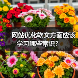 网站优化软文方面应该学习哪些常识?(图1) 网站优化软文方面应该学习哪些常识?(图1)