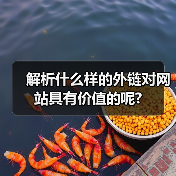 解析什么样的外链对网站具有价值的呢?(图2) 解析什么样的外链对网站具有价值的呢?(图2)