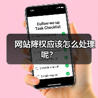网站降权应该怎么处理呢?(图3) 网站降权应该怎么处理呢?(图3)
