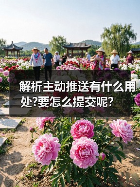 解析主动推送有什么用处?要怎么提交呢?(图4) 解析主动推送有什么用处?要怎么提交呢?(图4)
