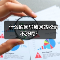 什么原因导致网站收录不涨呢?(图3) 什么原因导致网站收录不涨呢?(图3)