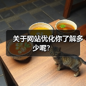 关于网站优化你了解多少呢?(图3) 关于网站优化你了解多少呢?(图3)
