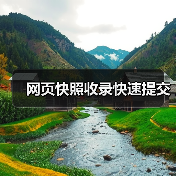 网页快照收录快速提交(图4) 网页快照收录快速提交(图4)