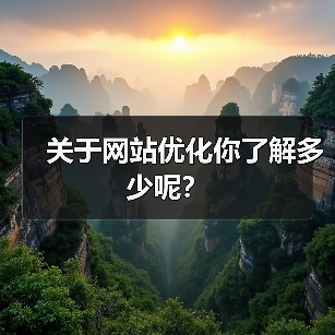 关于网站优化你了解多少呢?(图4) 关于网站优化你了解多少呢?(图4)