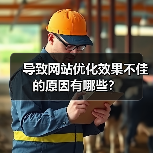 导致网站优化效果不佳的原因有哪些？（图3）
