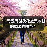 导致网站优化效果不佳的原因有哪些？（图4）