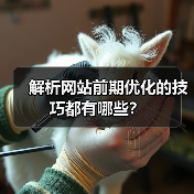 解析网站前期优化的技巧都有哪些?(图3) 解析网站前期优化的技巧都有哪些?(图3)