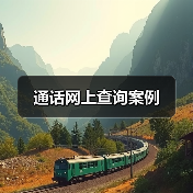 通话网上查询案例（图2）