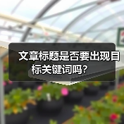文章标题是否要出现目标关键词吗?(图2) 文章标题是否要出现目标关键词吗?(图2)