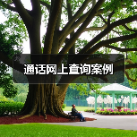 通话网上查询案例（图3）