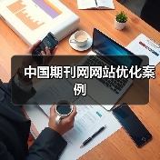 中国期刊网网站优化案例(图2) 中国期刊网网站优化案例(图2)