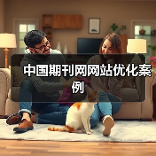 中国期刊网网站优化案例(图1) 中国期刊网网站优化案例(图1)