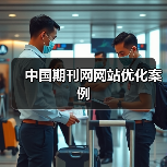 中国期刊网网站优化案例(图3) 中国期刊网网站优化案例(图3)