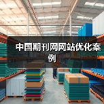 中国期刊网网站优化案例(图4) 中国期刊网网站优化案例(图4)