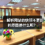 解析网站的快照不更新的原因是什么呢?(图4) 解析网站的快照不更新的原因是什么呢?(图4)