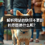 解析网站的快照不更新的原因是什么呢?(图3) 解析网站的快照不更新的原因是什么呢?(图3)