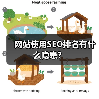 网站使用SEO排名有什么隐患?(图4) 网站使用SEO排名有什么隐患?(图4)