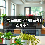 网站使用SEO排名有什么隐患?(图3) 网站使用SEO排名有什么隐患?(图3)