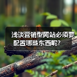 浅谈营销型网站必须要配置哪些东西呢？（图4）