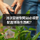 浅谈营销型网站必须要配置哪些东西呢？（图3）