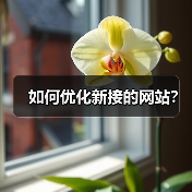 如何优化新接的网站?(图3) 如何优化新接的网站?(图3)