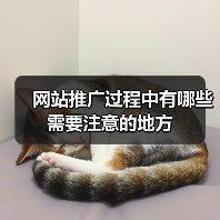 网站推广过程中有哪些需要注意的地方(图3) 网站推广过程中有哪些需要注意的地方(图3)
