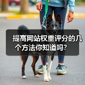 提高网站权重评分的几个方法你知道吗？（图1）