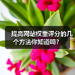 提高网站权重评分的几个方法你知道吗？（图2）