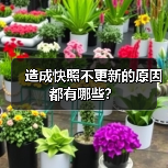 造成快照不更新的原因都有哪些?(图4) 造成快照不更新的原因都有哪些?(图4)